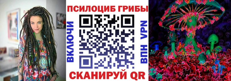 дарнет шоп Сосногорск Галлюциногенные грибы мухоморы